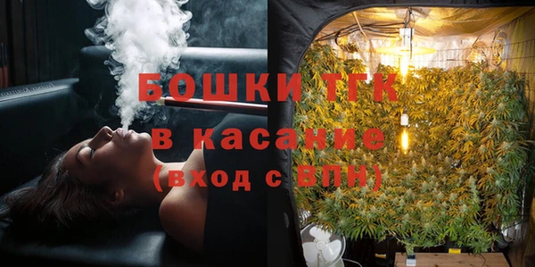 PSILOCYBIN Тайга